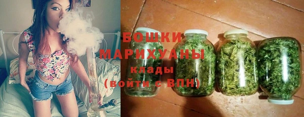PSILOCYBIN Баксан