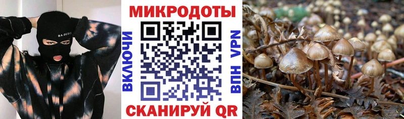 Псилоцибиновые грибы мухоморы  магазин    Корсаков 