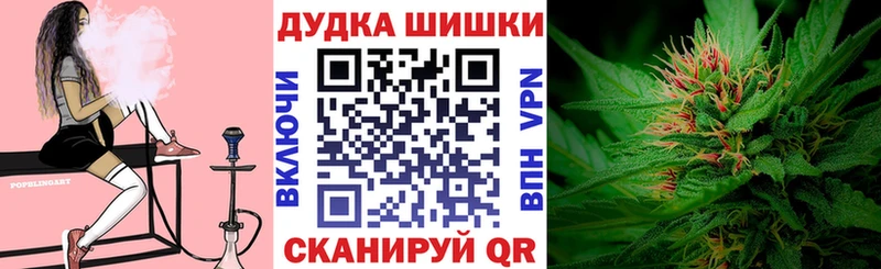 Бошки Шишки семена Корсаков